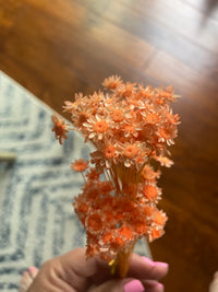 Build Your Own Dried Floral Bouquet by Fleurish Flower Co.