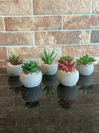 Mini Succulent (3 Styles)