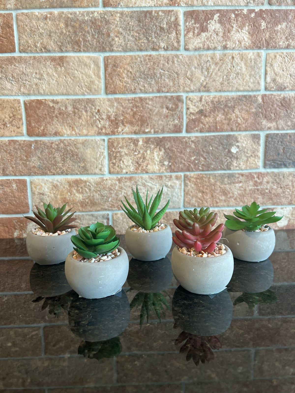 Mini Succulent (3 Styles)